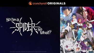 So I'm a Spider, So What
