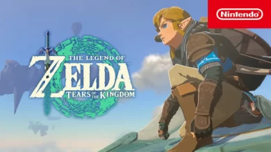 The Legend of Zelda Tears of the Kingdom