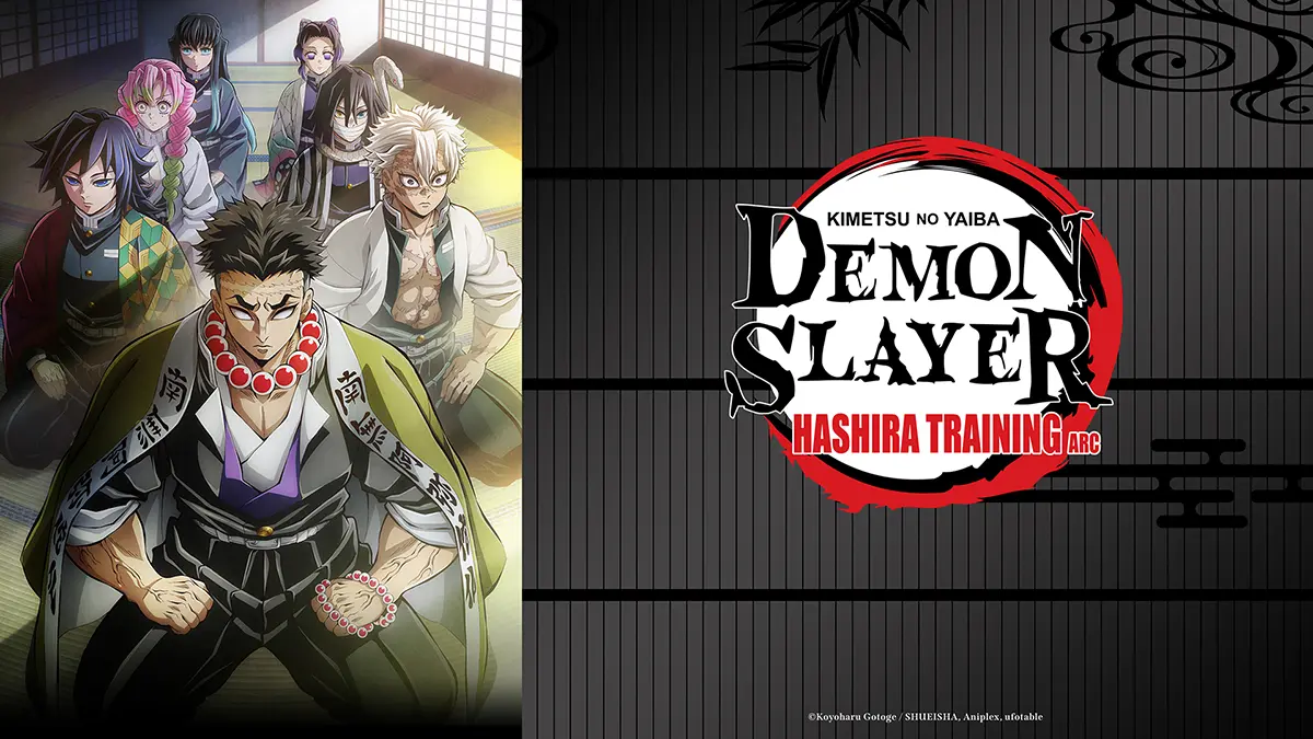 Demon Slayer Kimetsu no Yaiba Hashira Training Arc