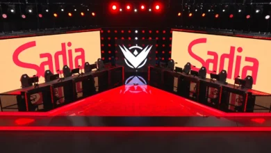 Sadia-LTA Sul