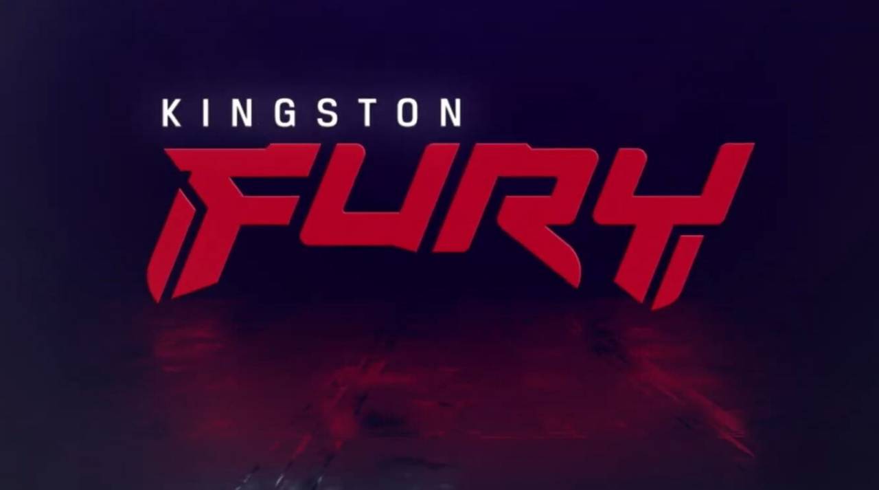 Kingston FURY - EVO
