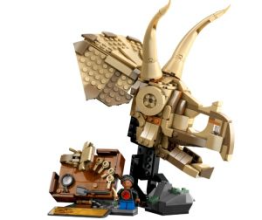 Guia de presentes Surpreenda toda a família com os conjuntos LEGO 4