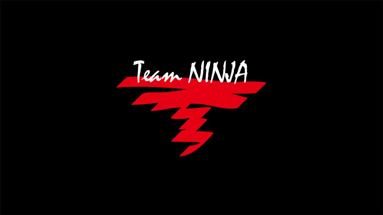 Team Ninja